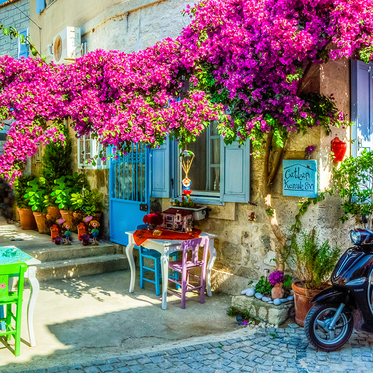 Çeşme Alaçatı Şirince Efes Turu